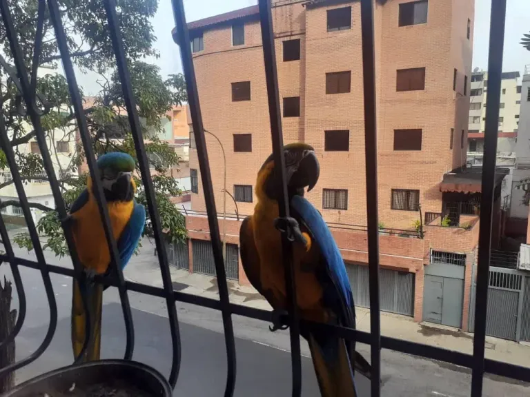vYXbIwrr0IdcxFOT_IMG-20250601-WA0062.webp