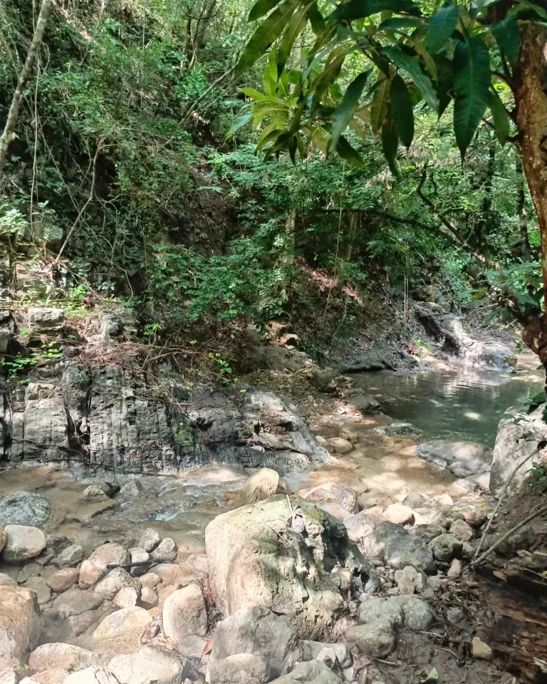 jMaowG2sobuWP1C2_1000740725.webp