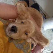clpv3ycwf03qne9szcilvc1uy_1000428681.webp