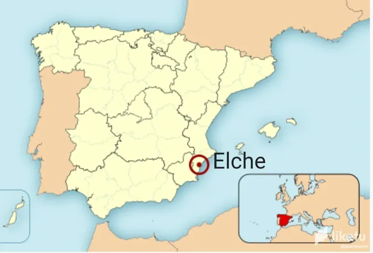 clenag36h003d0xszhkmbgpnl_Elche7.webp