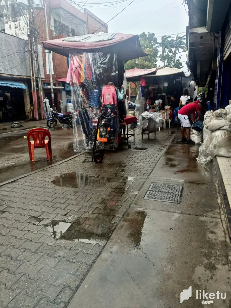 kvEOEgj3Tq96qVCL_IMG-20250603-WA0252.webp