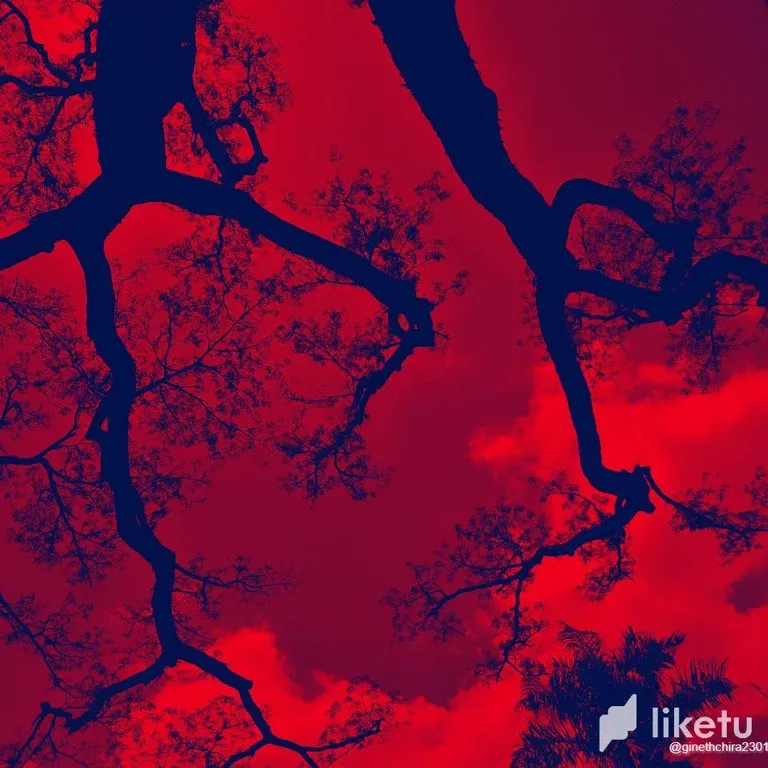 cliapps40008u91szc5ob9yij_photo_2023-05-30_12-28-06.webp