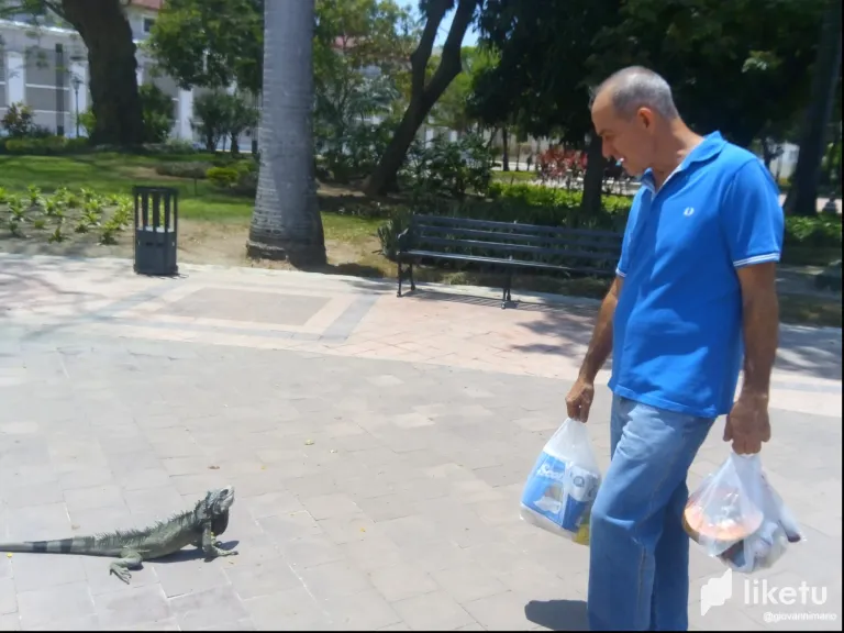 clfmt0cke00y54cszh5q7fxg4_IMG_20230323_124025_464.webp