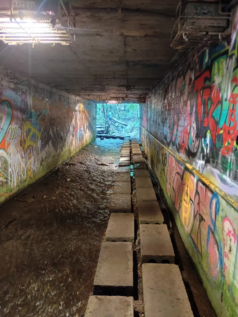 Hiking in bogota's mountains - ENG/ESP