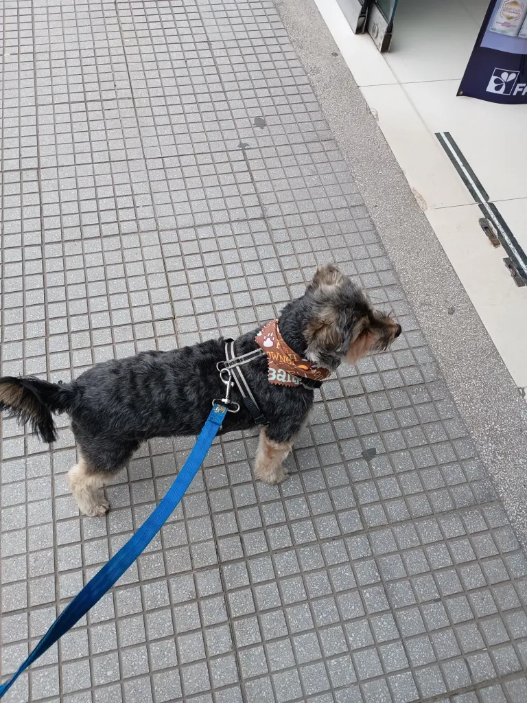 CJg511aOvF5wHGPc_1000152648.webp