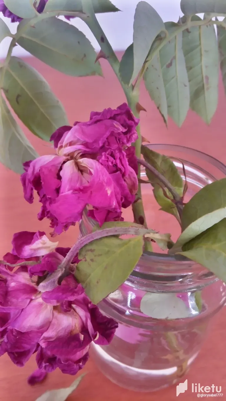 clllsnsg300ahamszd54460x0_IMG_20230707_120246_2.webp