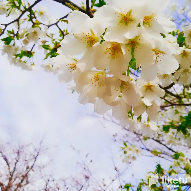 cle8jk8zf00qy6xsz4867c3r2_2018-03-24-15-21-31-849-Original.webp