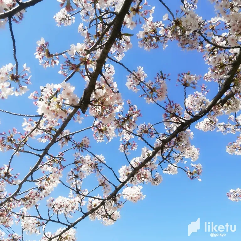 cle8jkevn00tf8psz1hkb2bkv_2018-03-30-13-49-39-528-Original.webp