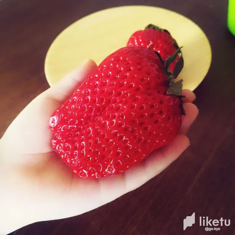 clejxbn0501hl5qszckep6bvs_2018-02-13-08-11-00-615-Original.webp