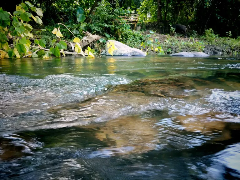 jxtXNW1VkHufEdTn_received_2296559934121312.webp