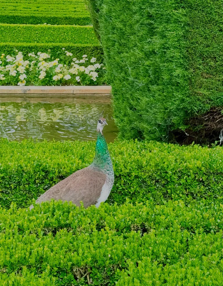 uXE3sJktSlpPWpHs_IMG_2403.png