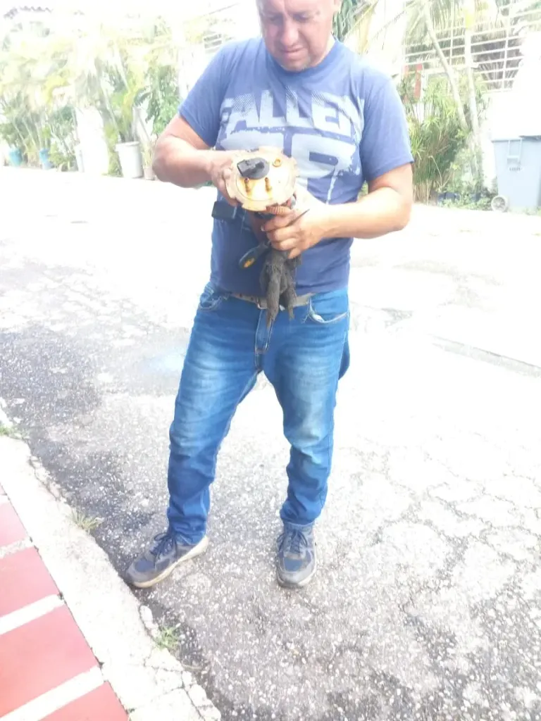 GhddxAHOOm5bHJpt_14.webp
