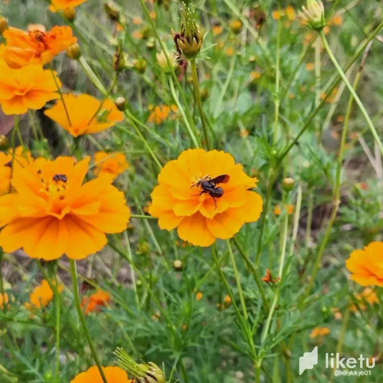 clsmrycms007fv9sz5bkze56n_IMG_20240215_122215.webp