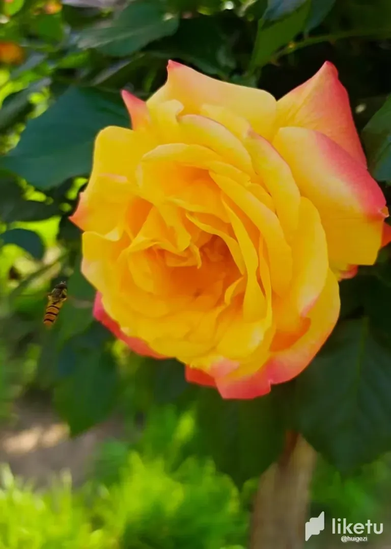 8p4xTPJLbSmlKVfR_5.webp