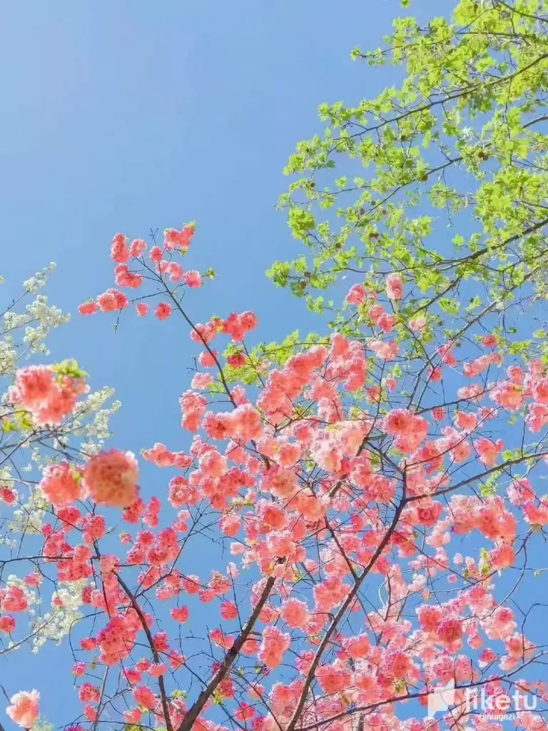 mfOPMUwatBV2m5O7_3.webp