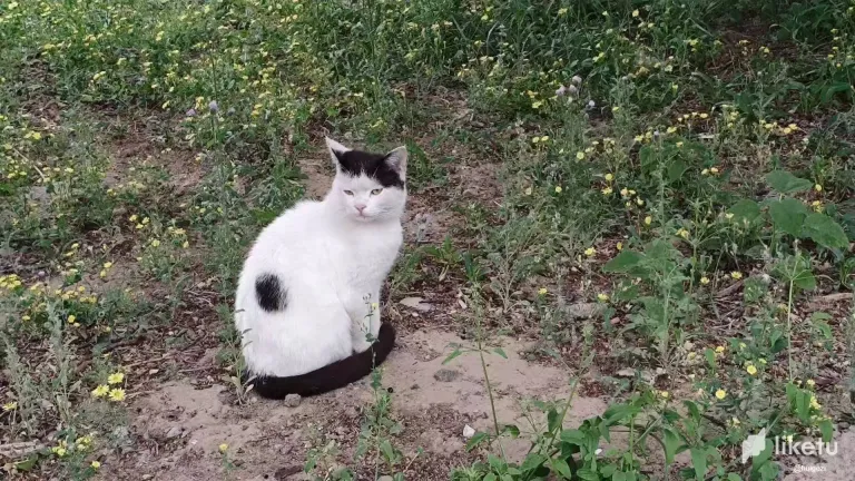 mubqwoj4yRk9MFGW_2.webp