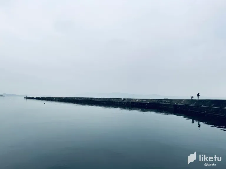clhkejkiy00bg97szgdigha65_340908451_6178669615573419_532186253017345079_n.webp