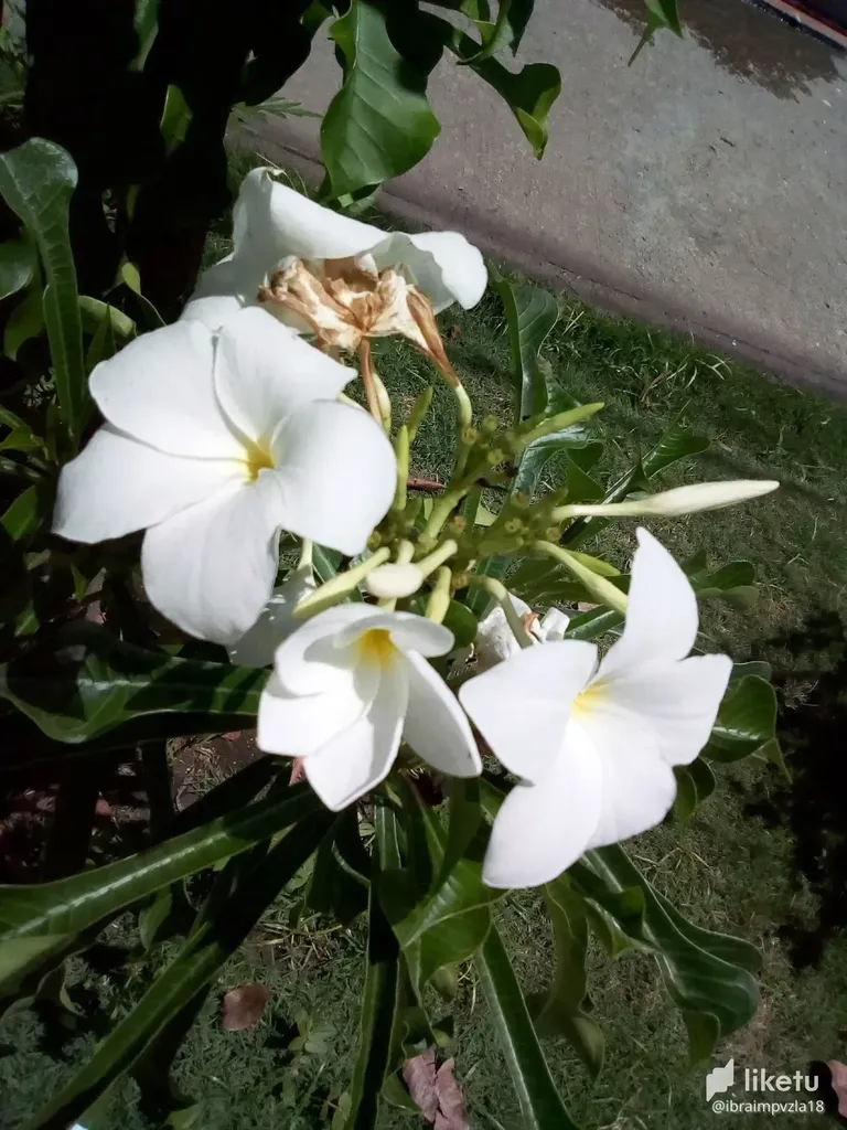 cl9d477pp02m61skcbsoecv43_7.webp