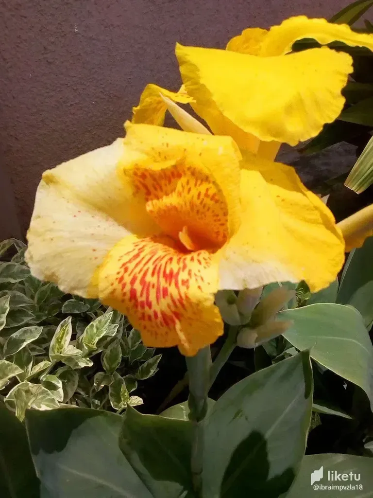 cl9d47krq02qh0okcbb1gffca_22.webp