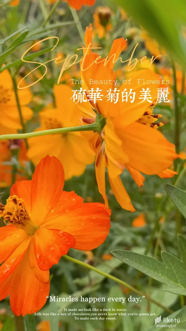 cl9mylh9j00n515kchooxb0e5_F5FB158D-4178-4867-B090-58AD52014EDA.png