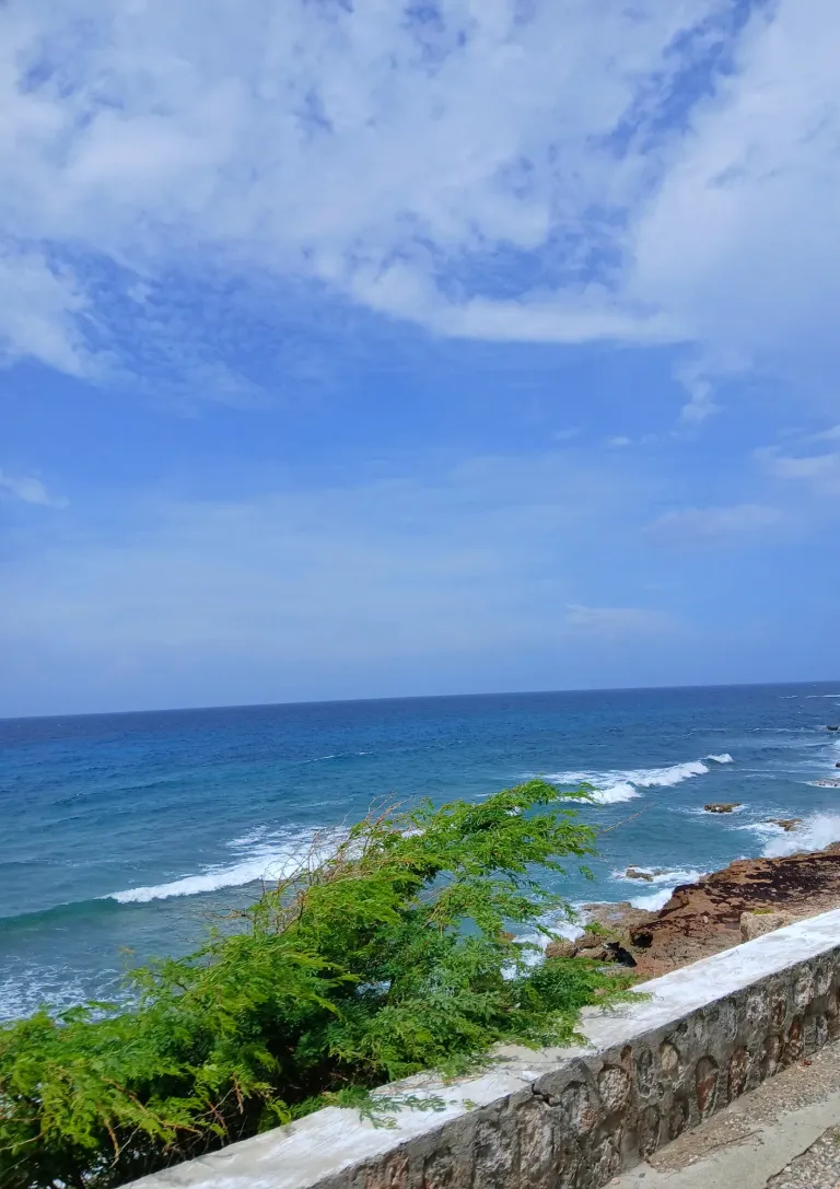 Rb3GuoDFOtv7ojL1_1000016689.jpg
