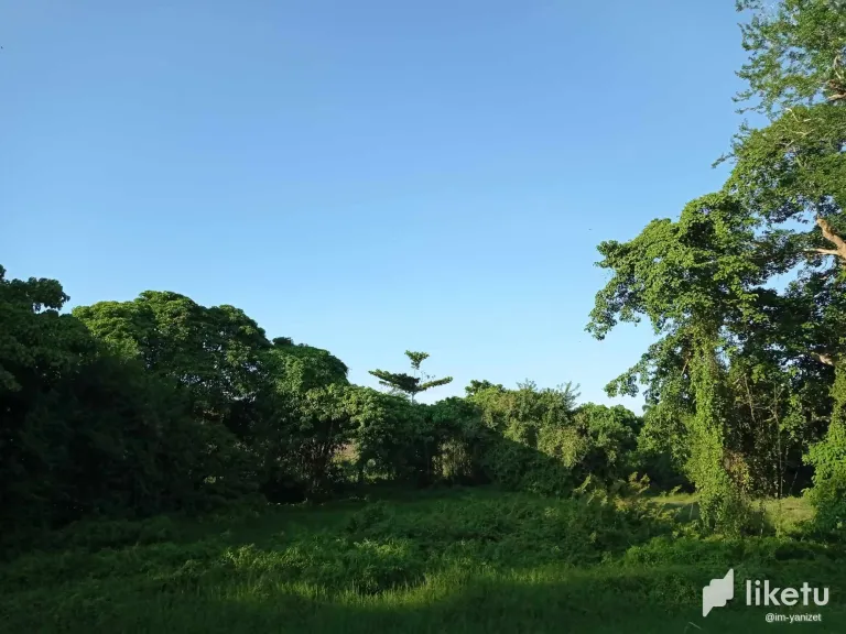 clmpdbyam02wb0pszb0wad2ty_IMG_20230916_175916.webp
