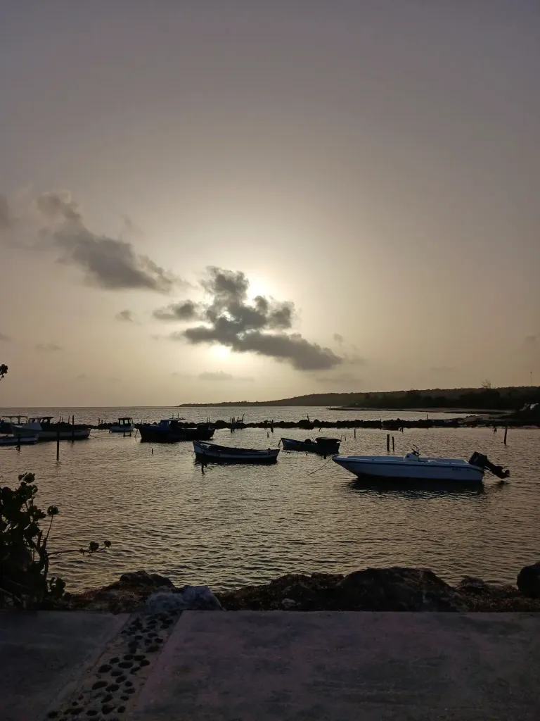 r4cdPEpntIhlYoKm_1000032716.webp