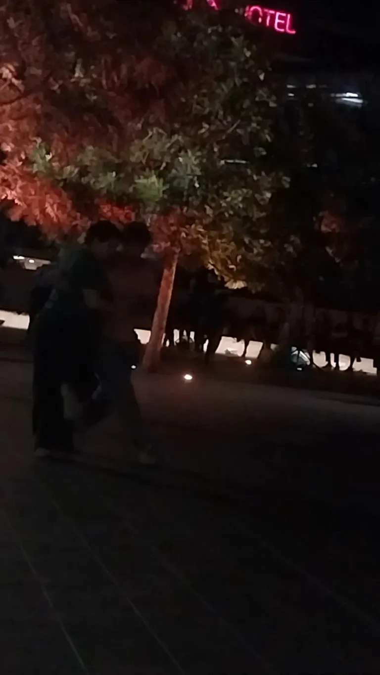 YlxQke2sPCyNjTum_VideoCapture_20250319-130728.webp