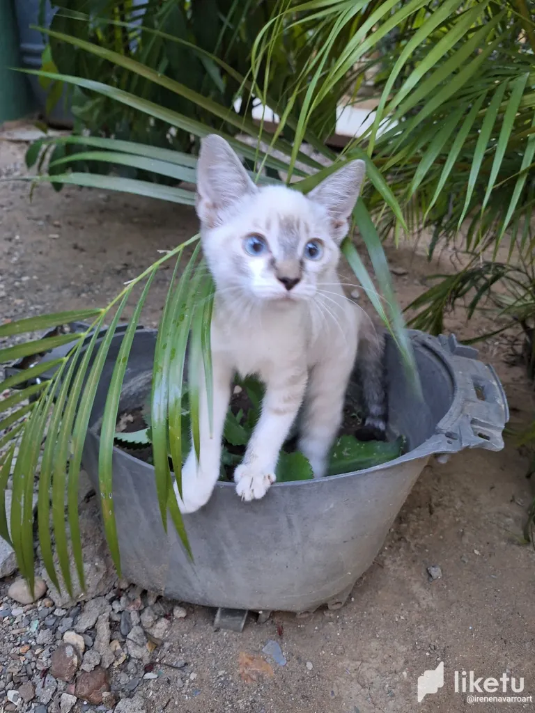 clm44y9hh00xw7kszd3ln1zuh_20230808_183654.webp