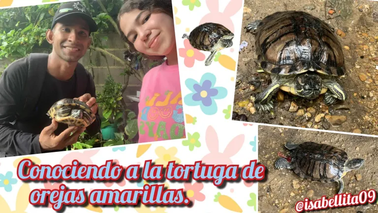 0aYGOPxqTJTzXPtd_GridArt_20250621_011218712.webp