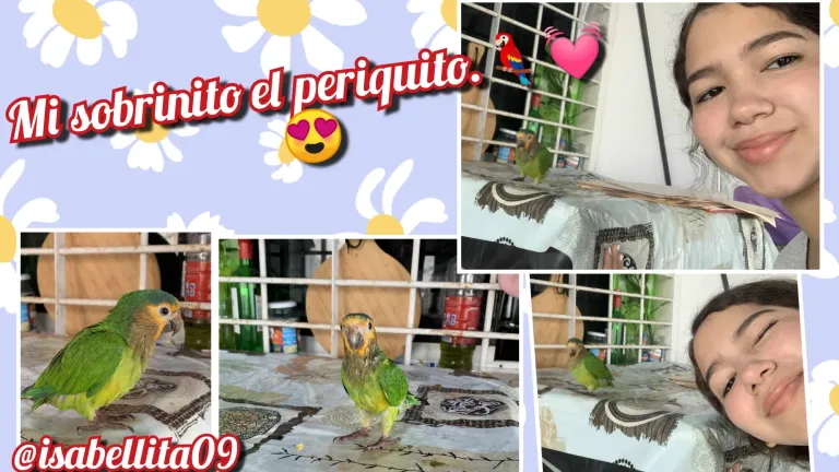 yjiBO9sVsIIEKIKX_GridArt_20250607_211853324.webp