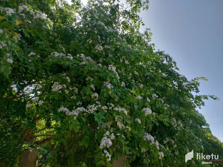clve2g5x0000h16sz8y42etnf_IMG_20240424_092232088_HDR.webp