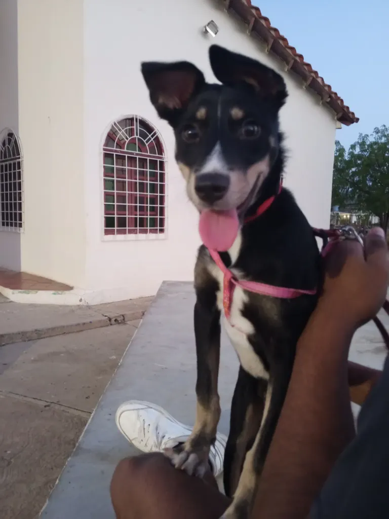 3MWgWpOlBDwcahAL_1000535089.webp