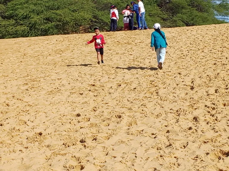 KOLTFo4WIgJ3zfD4_1000576004.webp