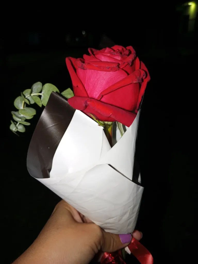 TMAgnS7OO5EuNtKF_1000213146.webp