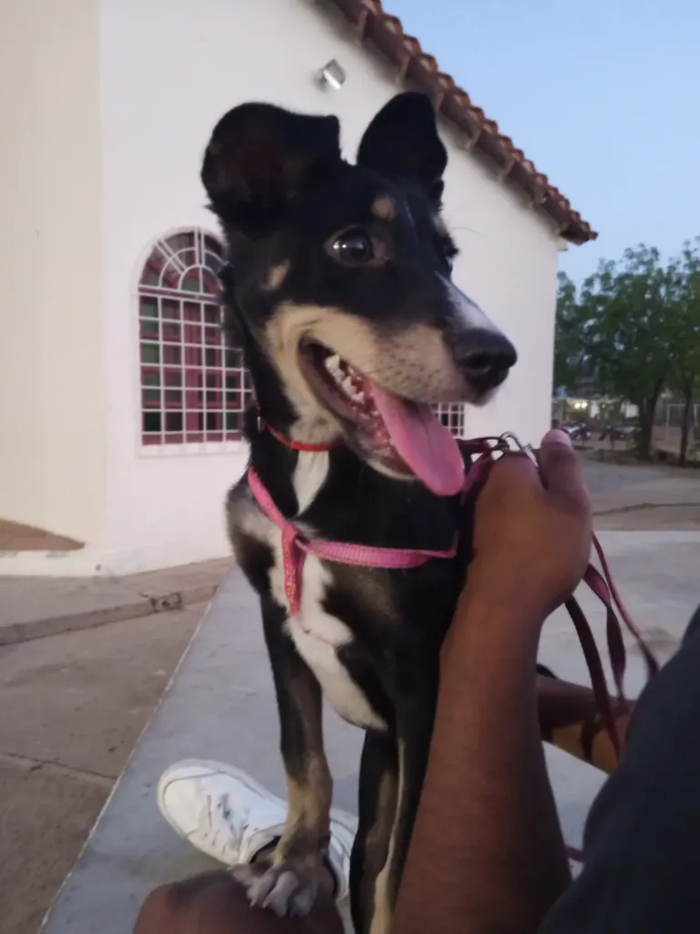 WSmnTM2bbkztrkX3_1000535090.webp