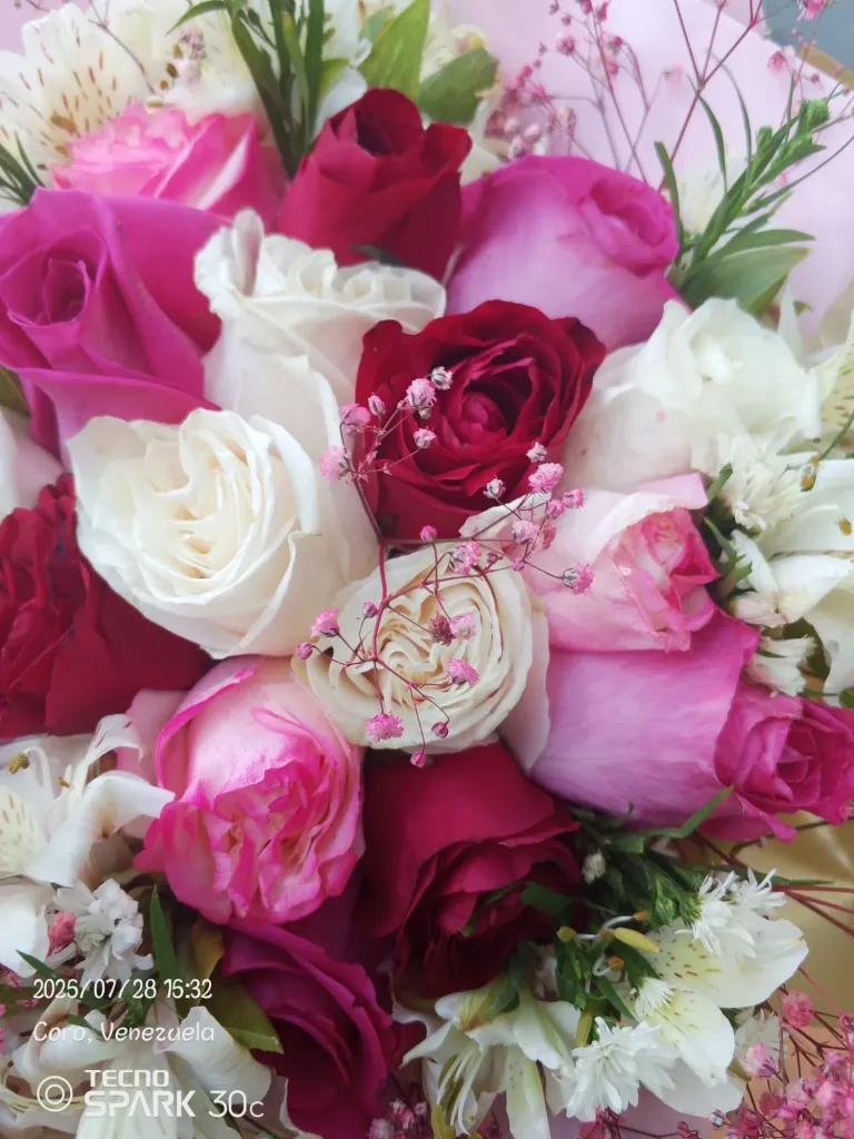 WkDUVN3rmnQVA0To_1000483710.webp