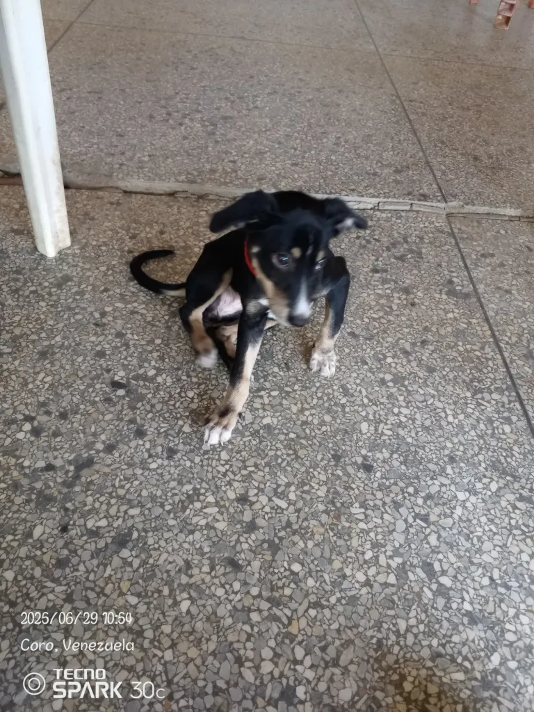 aV1v2BTI94CKqSuN_1000386982.webp