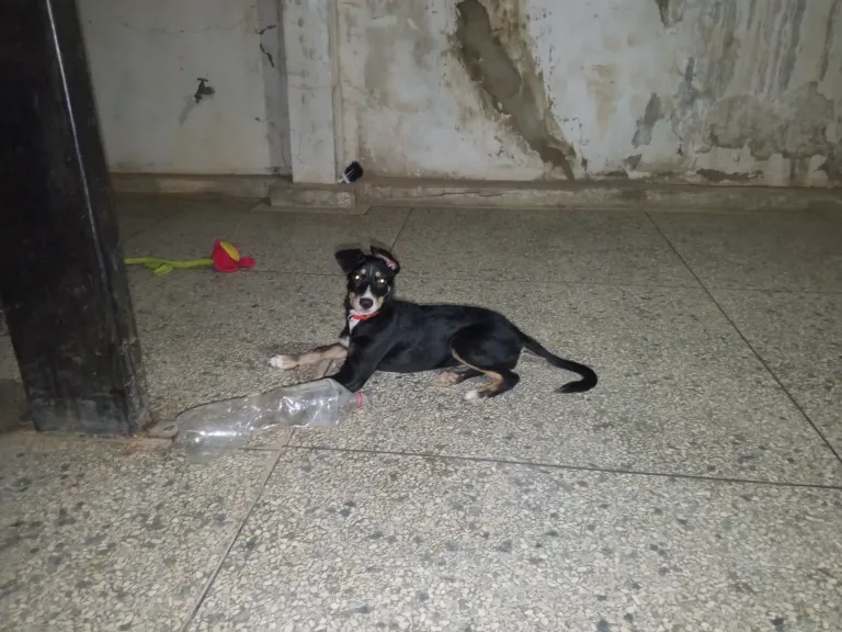 gtZH2kBt1LKNaMC8_1000508709.webp
