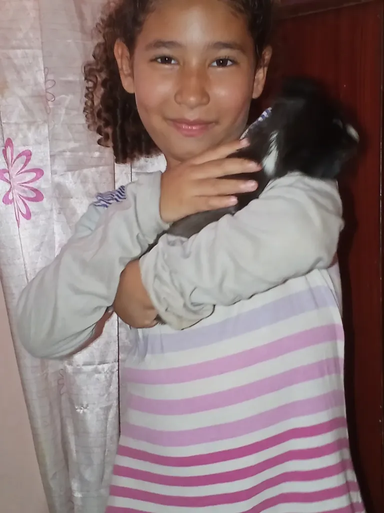 sbSmlGdm1ydZKRKn_1000199331.webp