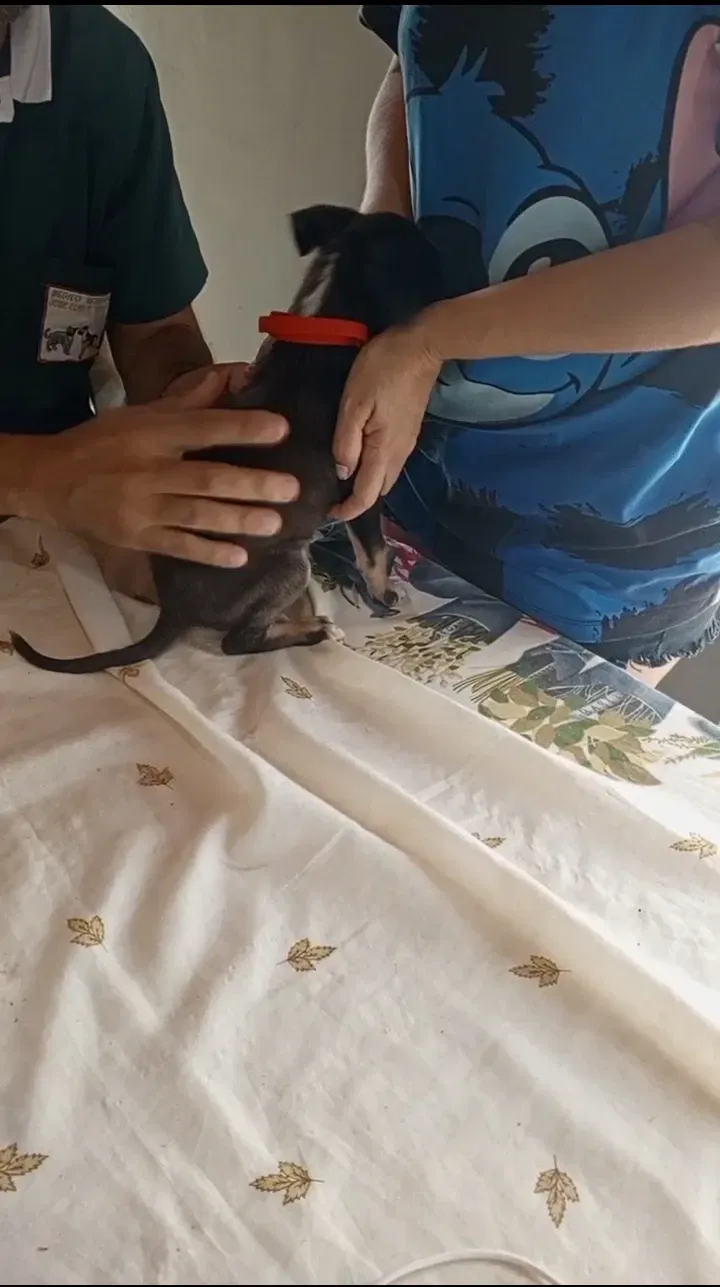 wxDh0PTYJMuk742I_1000276478.webp