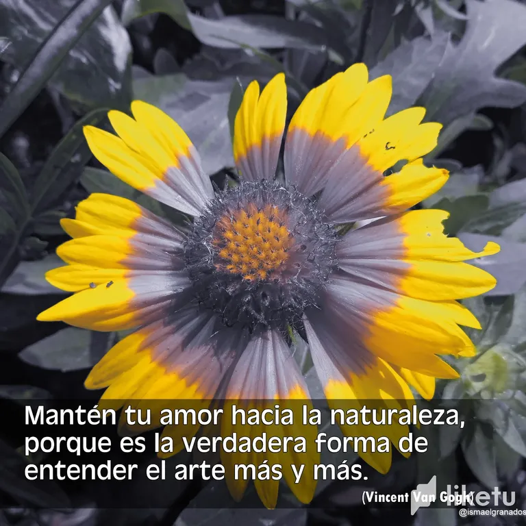 cldo1khk500e9alsz1rgzdl8l_2.webp