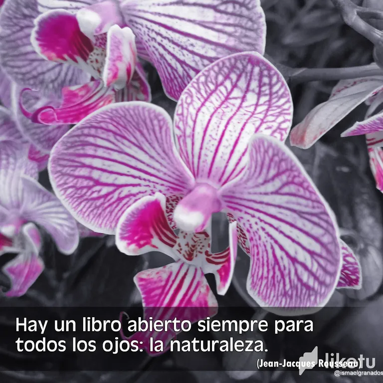 cldo1lcsi00dq23szhkmhbjm8_3.webp