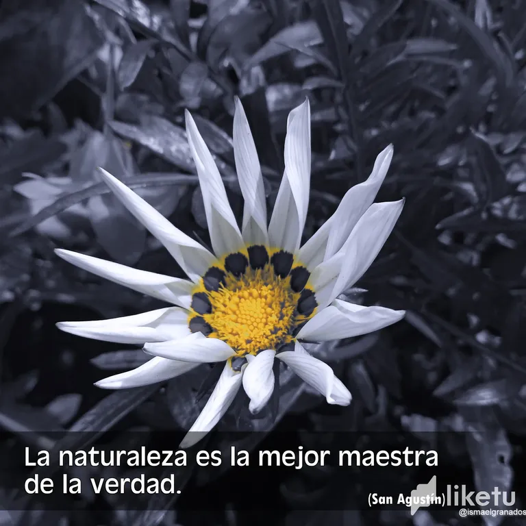 cldo1lj5700cf4asz9brh2afq_4.webp