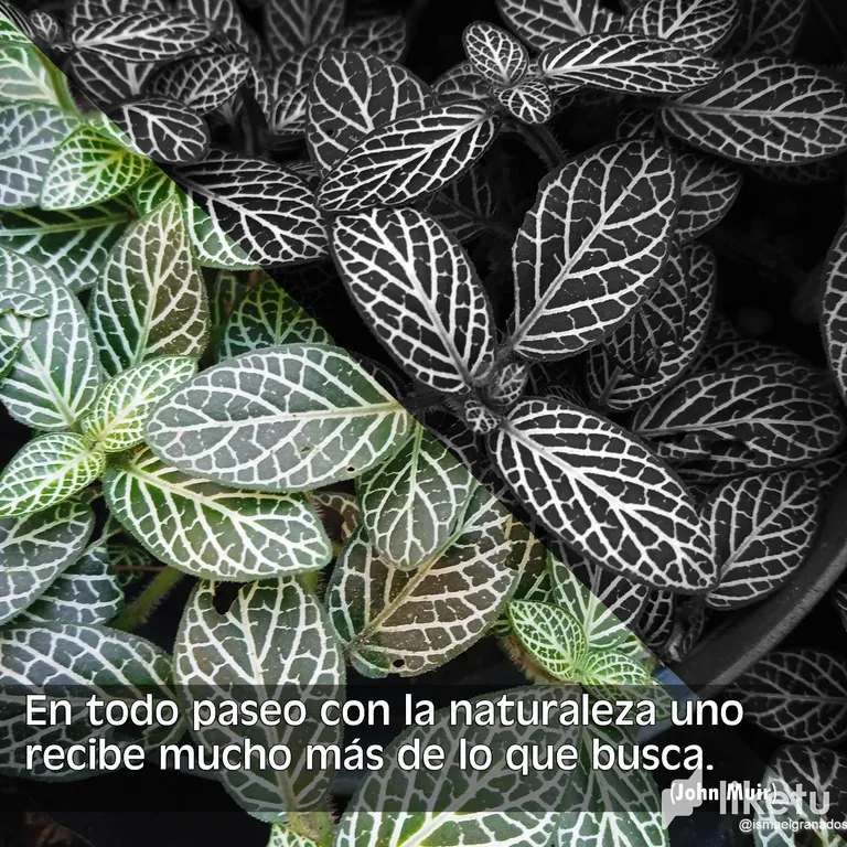 cldo1mg6w00cq9xszgva85akr_5.webp