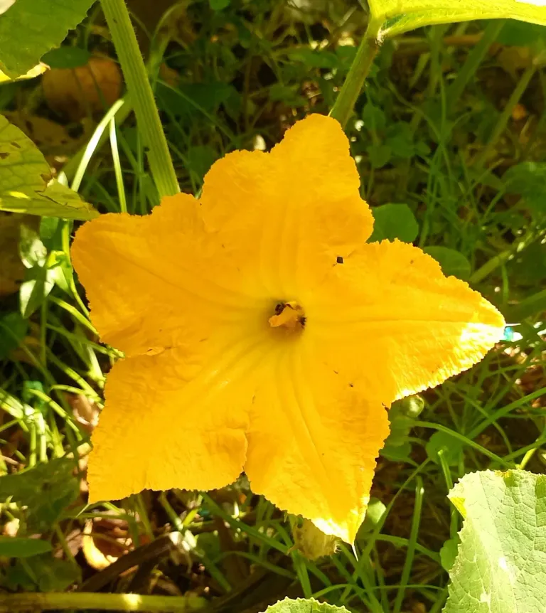 6G65nisPNHcyLpGe_IMG_20250424_090812_235.webp