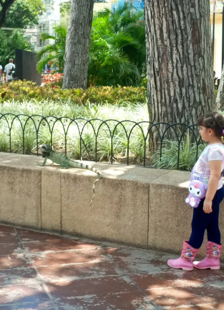 JcDOlOkhXA30OHpj_IMG_20250716_123956_120.webp