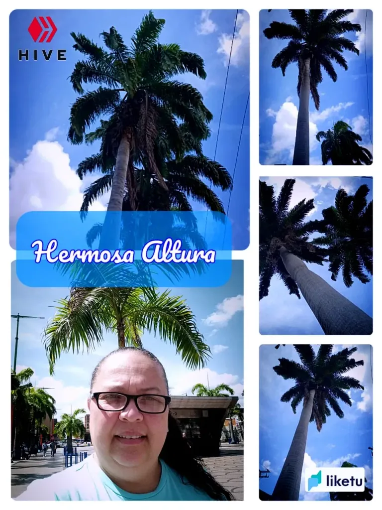 R2LDc6PFSBWgmeni_IMG-20250711-WA0003.webp