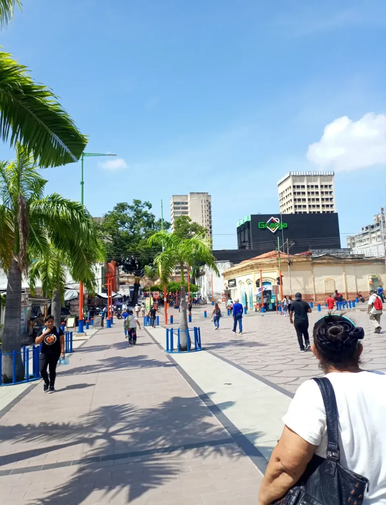 zNXZn0jBR0MmRmm8_IMG_20250701_103948_160.webp