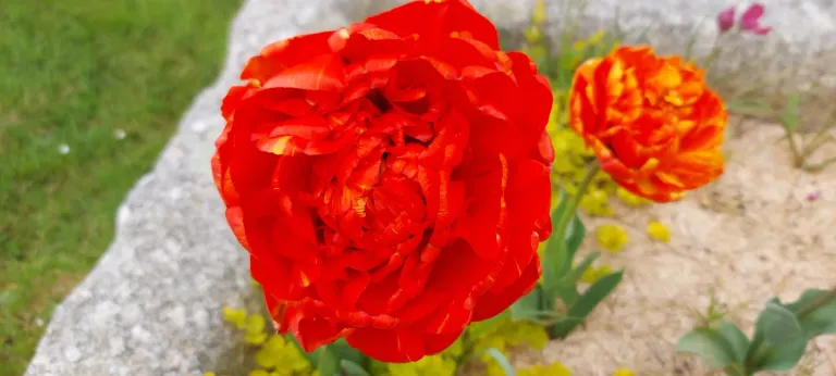 RRMZFyijch29aurC_20250422_170517.webp